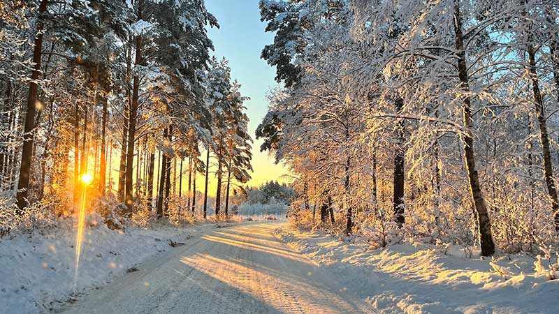 Vi färdas genom ett vackert vinterlandskap på vår bussresa med Tjörnarpsbuss julresor